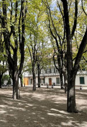 Baumüberstandener Platz, Basel