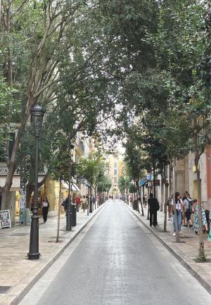Grüne Straße, Arta auf Mallorca