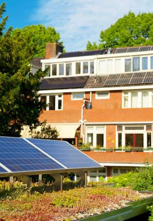 Doppelnutzung PV und Gründach Grüne Doppelnutzung PV und Gründach Grüne